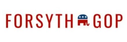 ForsythGOPWomen banner