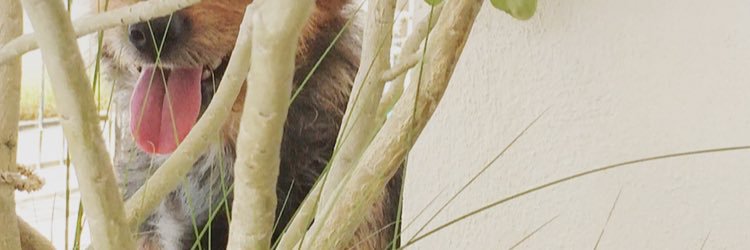 roxanasotoc's profile banner image