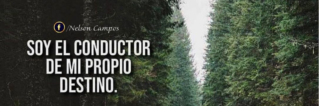Nelson__campos's profile banner image