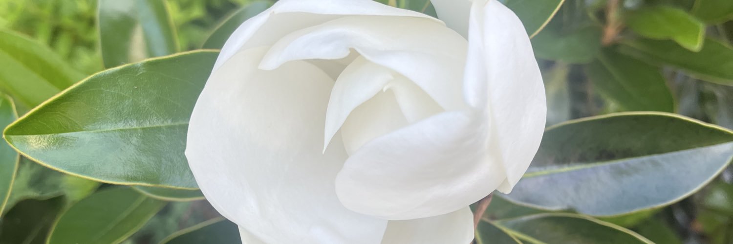 KrayDeets's profile banner image