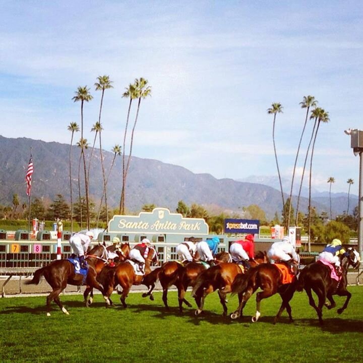 thoroughbred96's profile banner image