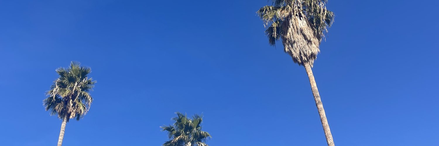 lrineee___'s profile banner image