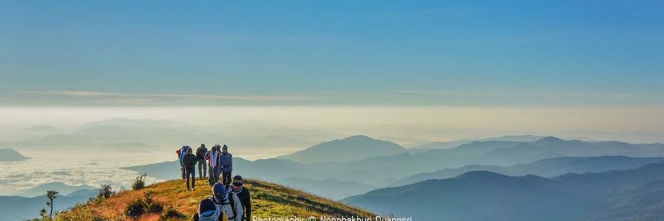 Nann_Apinya's profile banner image