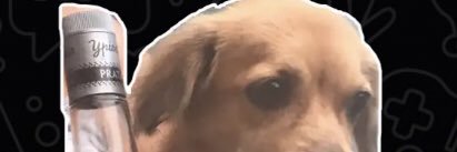 IuryPaz's profile banner image