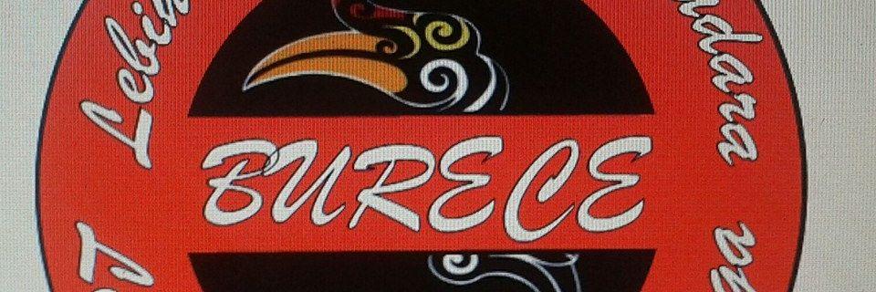 ugobureceoi's profile banner image