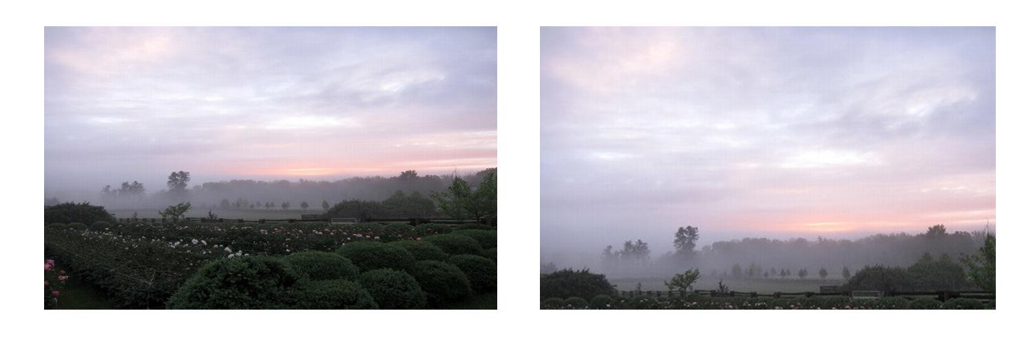 lydialpcgdr's profile banner image
