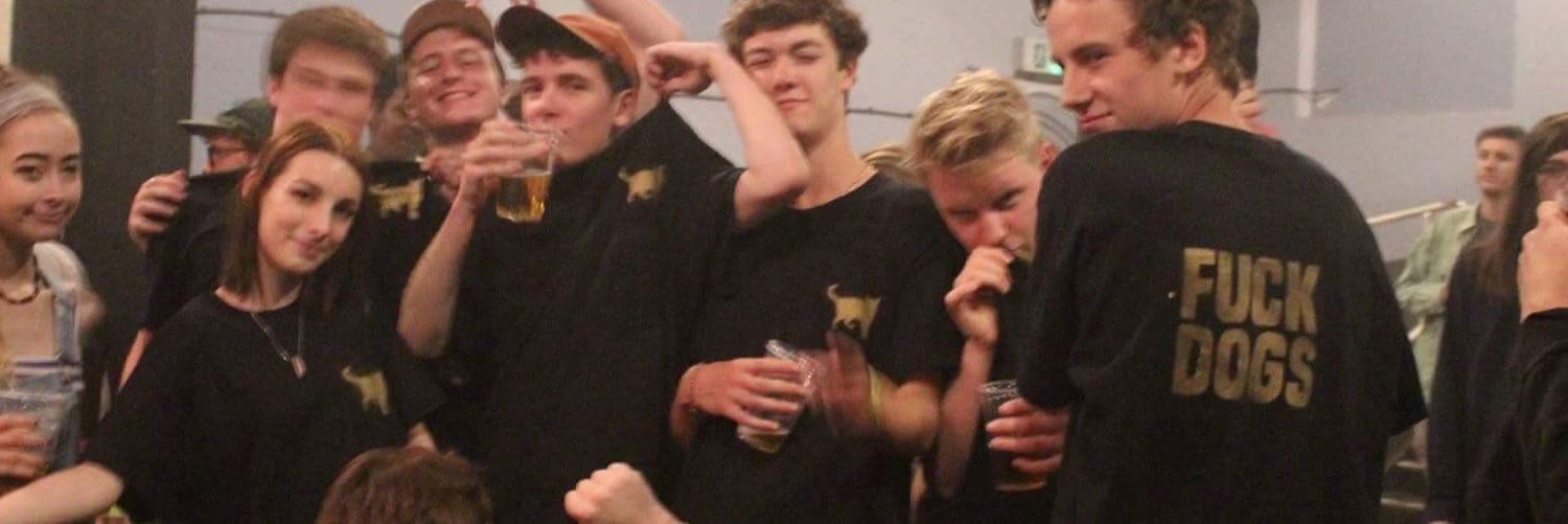 DogsDinnerBand's profile banner image