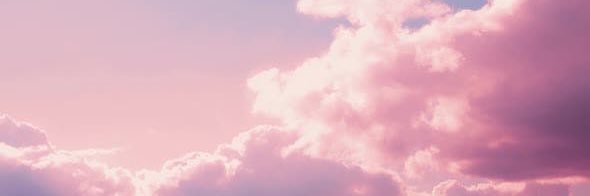 bunnydiluc's profile banner image