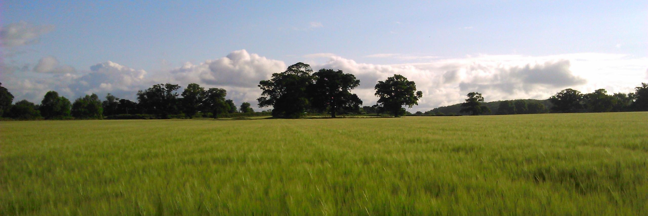 BKCFarm's profile banner image