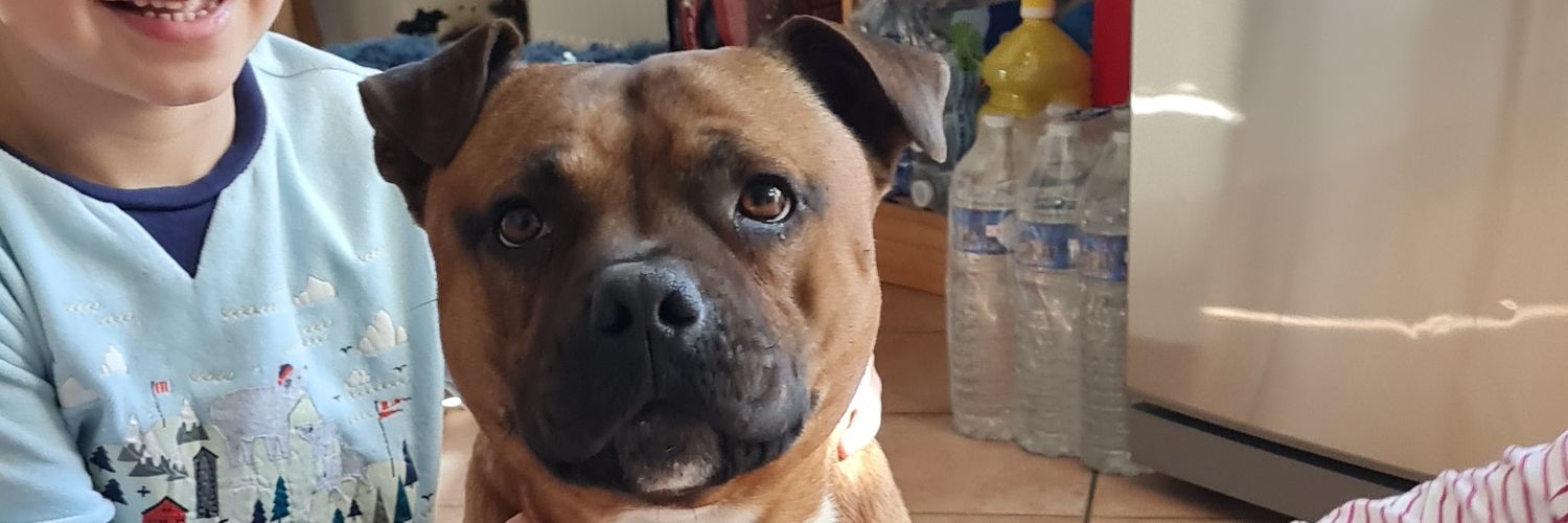 TonioPlombier🐟 banner