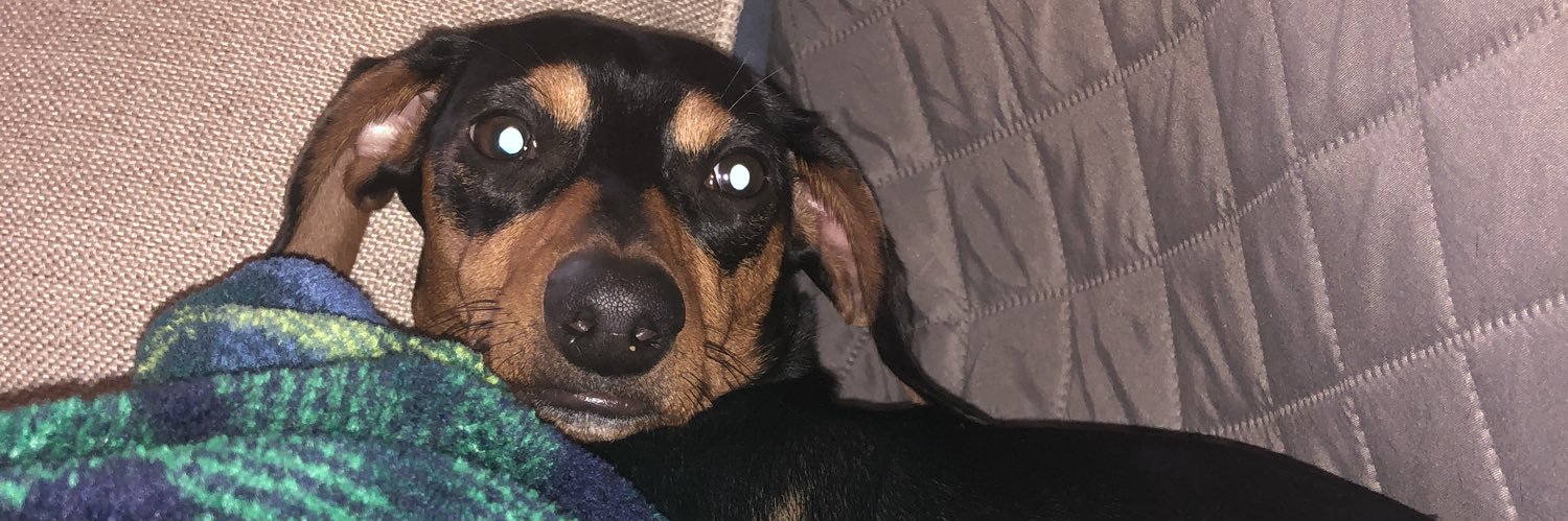 gabbydoss_'s profile banner image