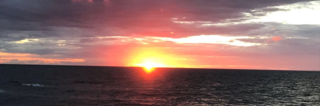 Wynevans5's profile banner image