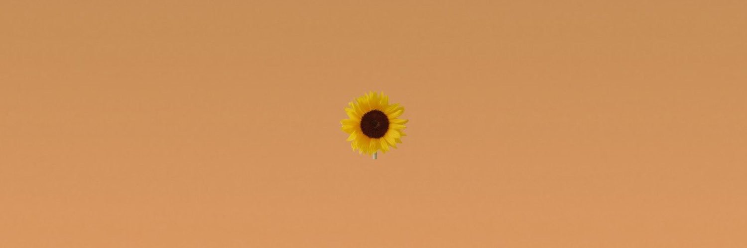 LivelyGleam's profile banner image