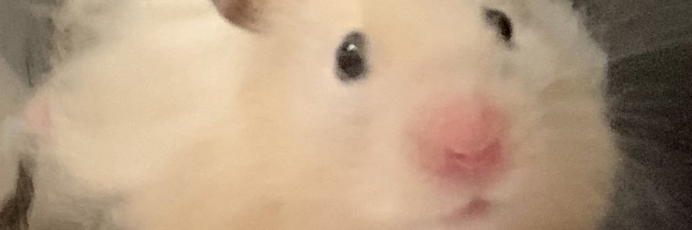 audreycowhead's profile banner image