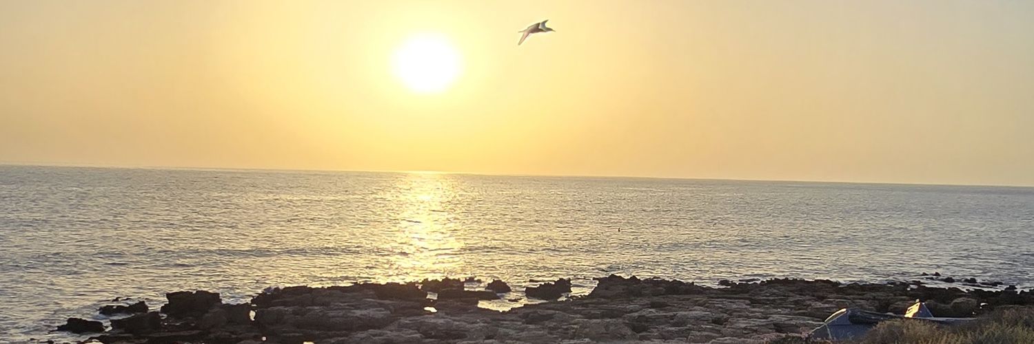 IsmaelSelma95's profile banner image
