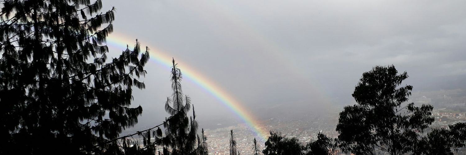 hugoffim's profile banner image