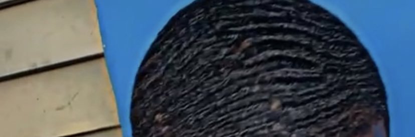 adrastrus's profile banner image