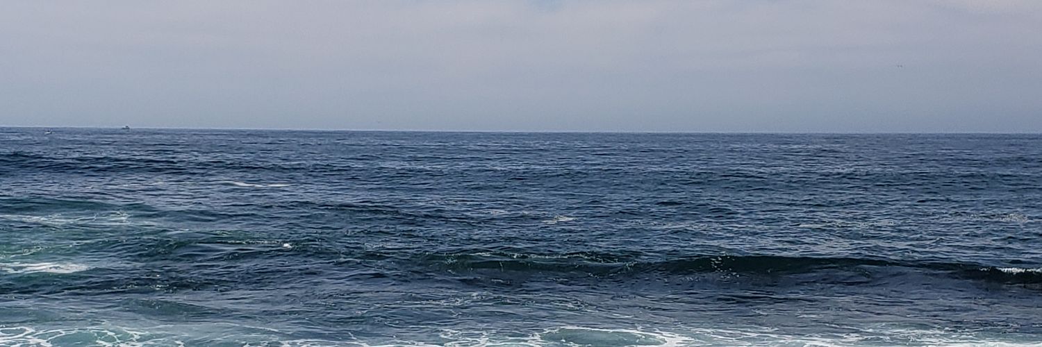 tesa31's profile banner image