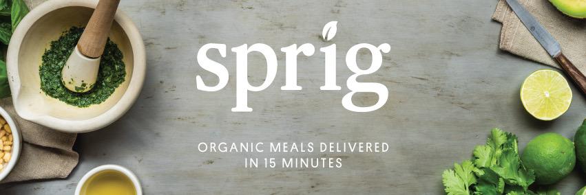 Sprig_Chi's profile banner image
