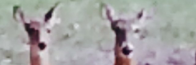 MostOnTheBeat's profile banner image