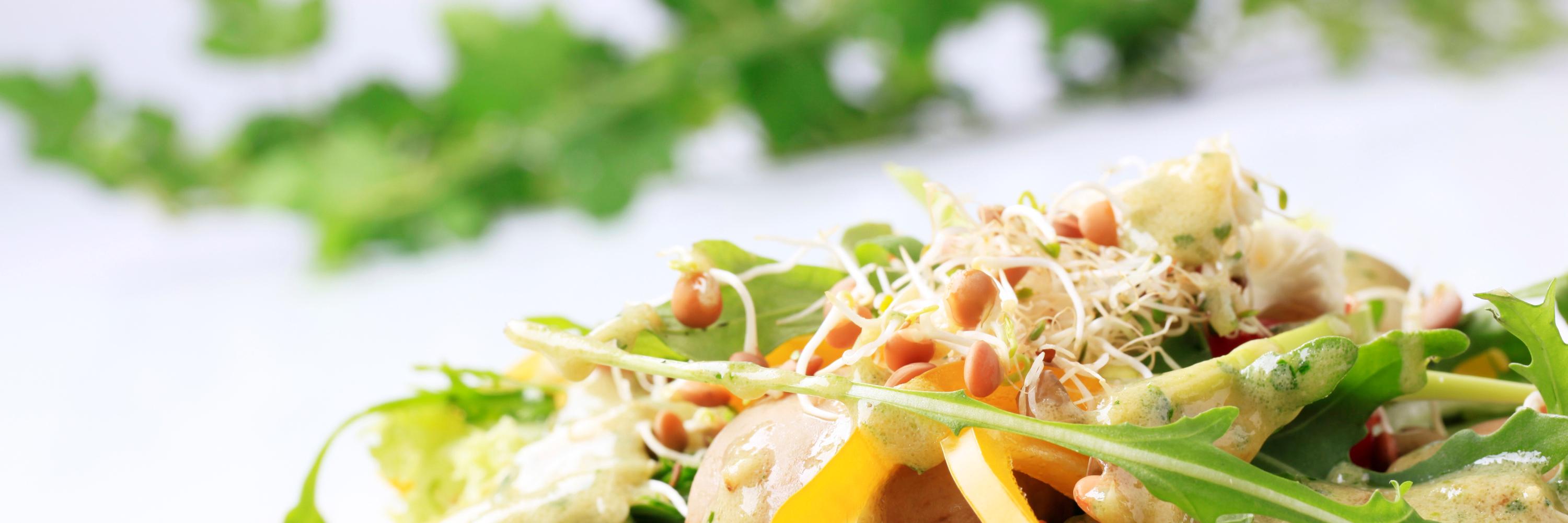 True_Meals's profile banner image