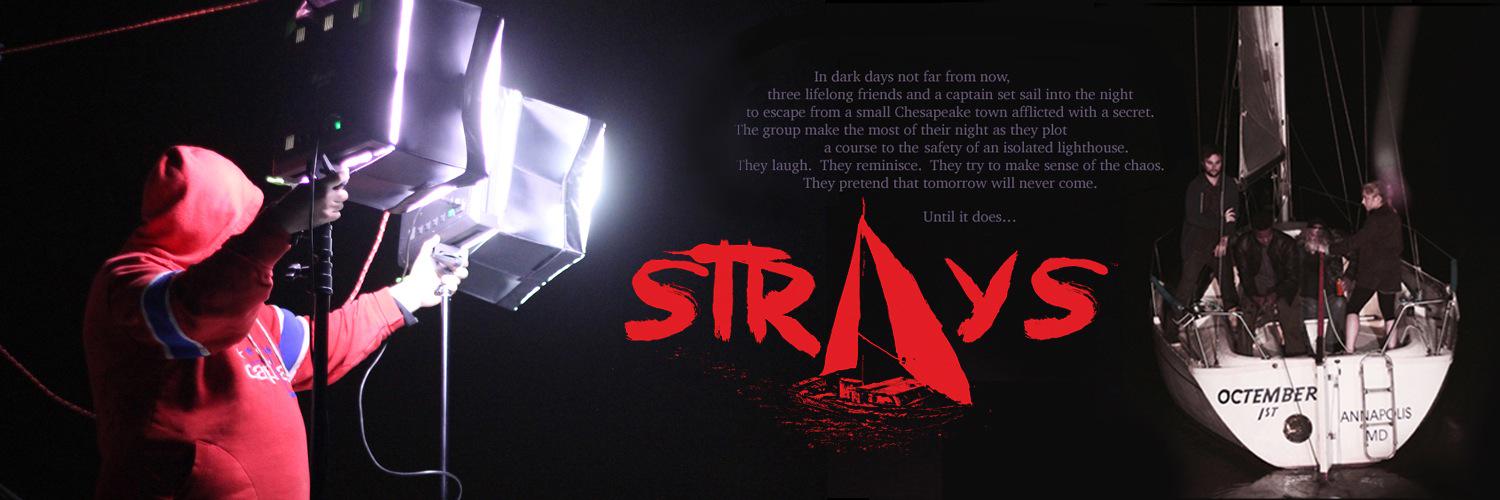 StraysFilm's profile banner image