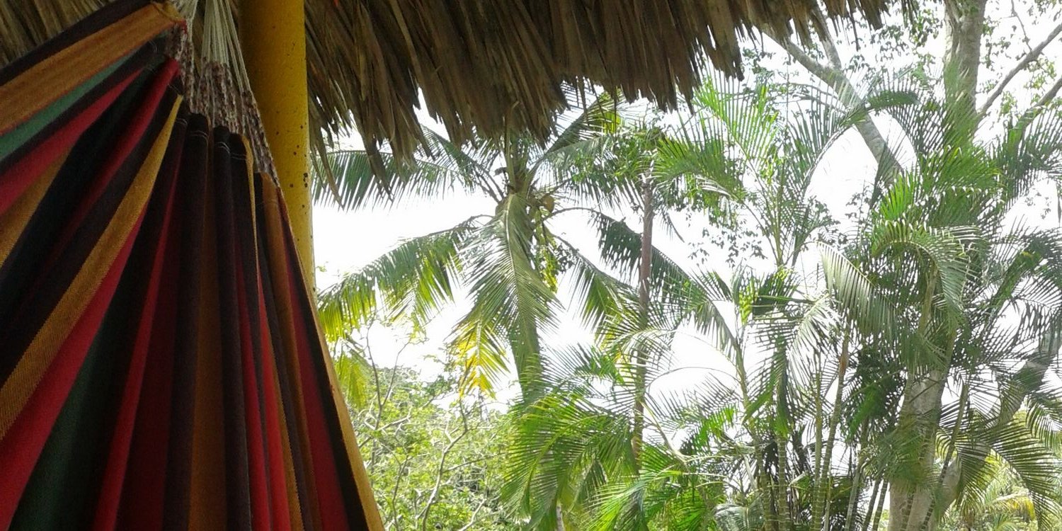YesikLp's profile banner image