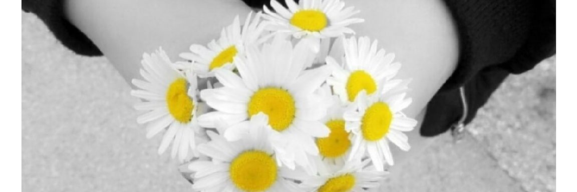 Janina7777's profile banner image