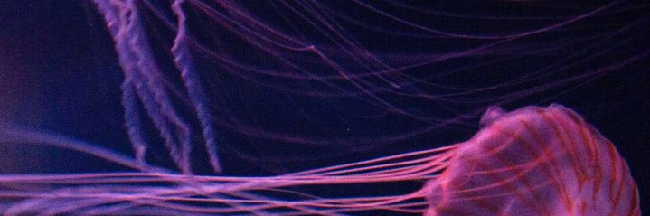berlinEdu's profile banner image