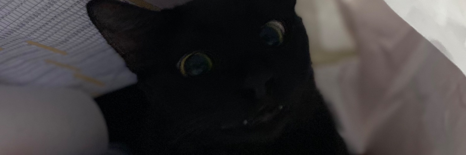 annycarolineof's profile banner image
