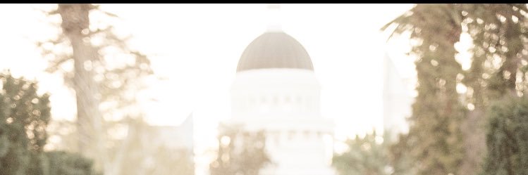 Babyfacebee16's profile banner image
