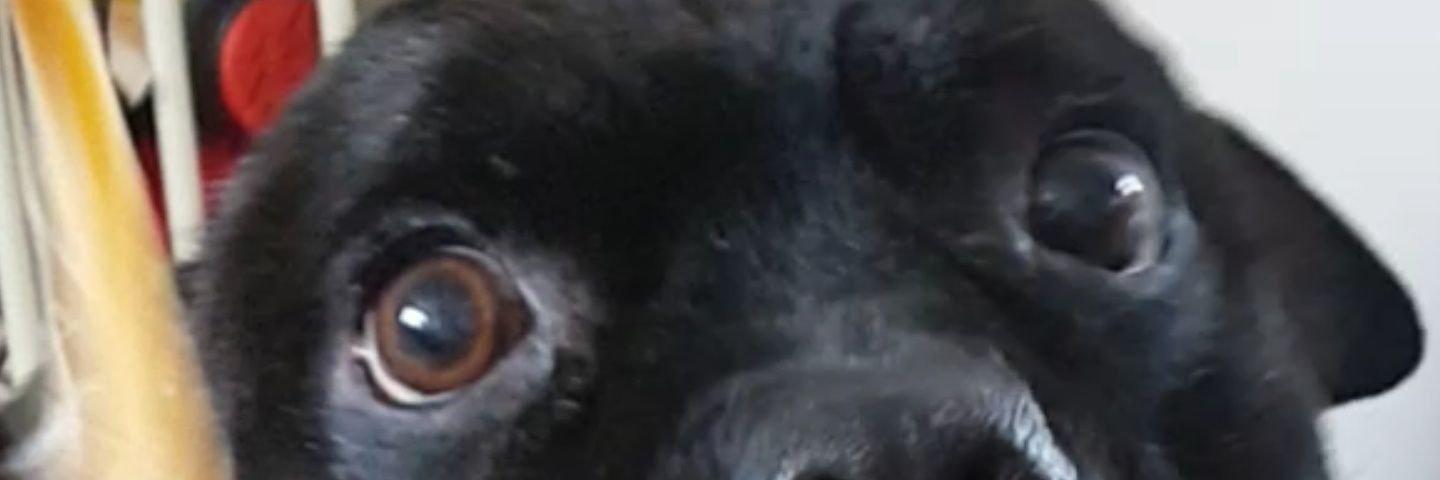 barnsey210587's profile banner image
