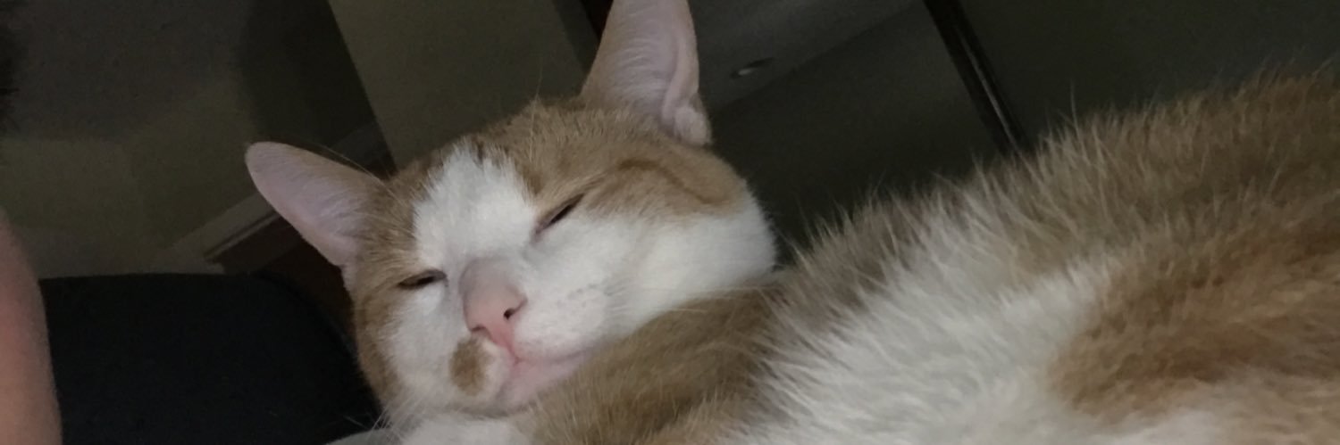 JLeepper's profile banner image