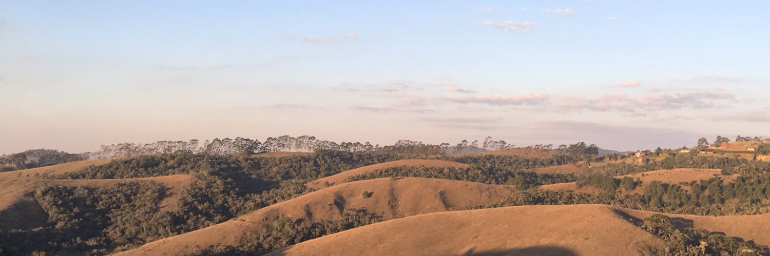 FernandaVitale's profile banner image