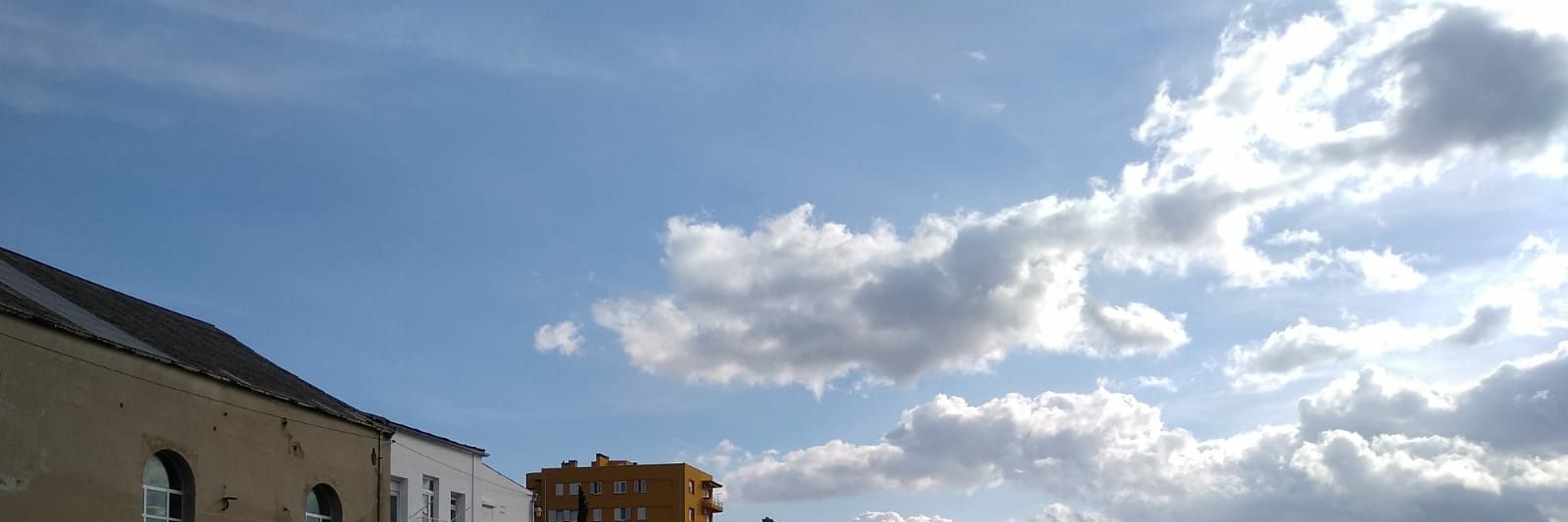 Nieves banner