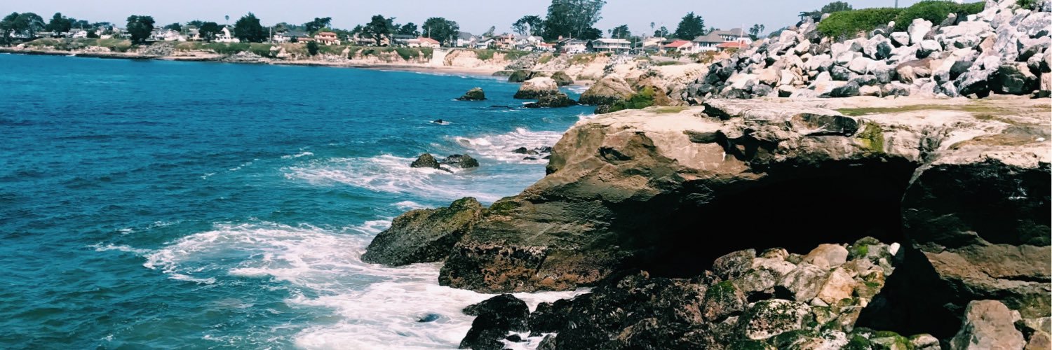 jill_collier_'s profile banner image