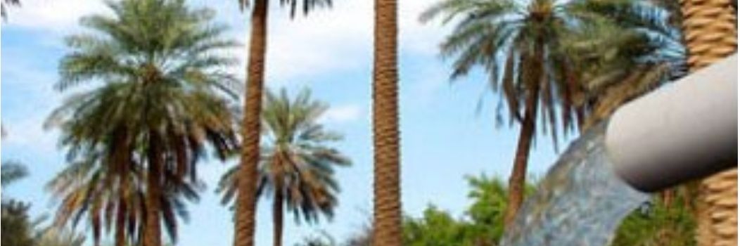 dannahoM's profile banner image