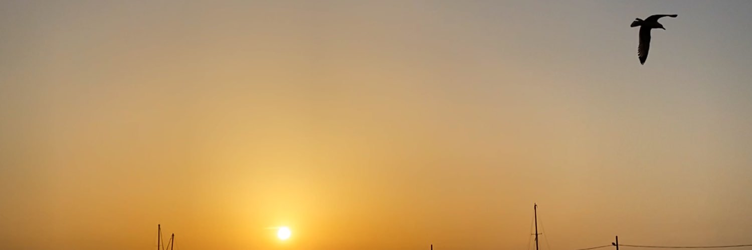 yagmurly's profile banner image