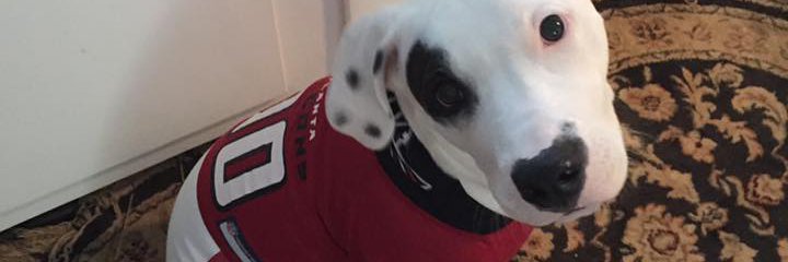 mpandmu's profile banner image