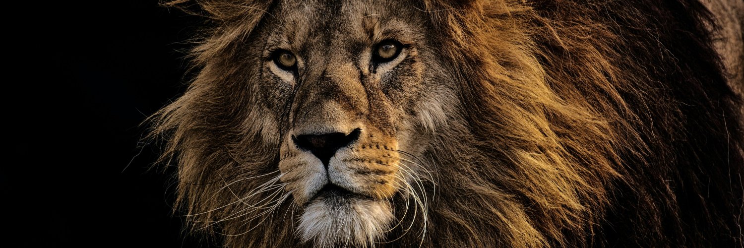 ramirez_angelo's profile banner image