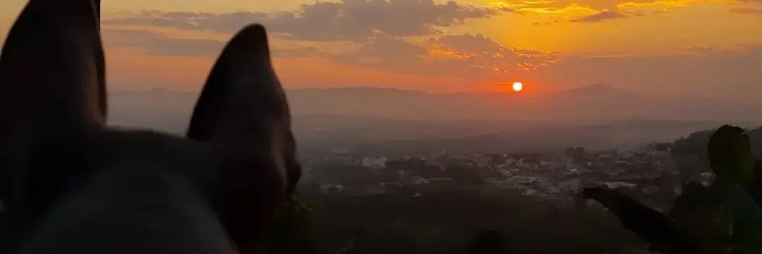 deboran1's profile banner image