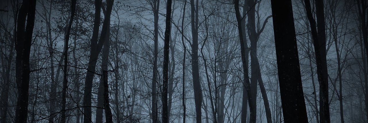 SHTFandGO's profile banner image