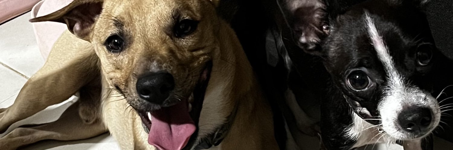 angcita_'s profile banner image