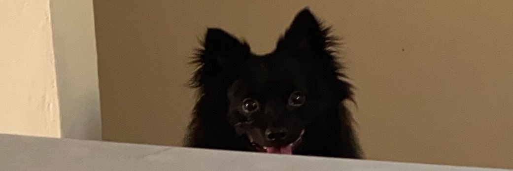 soyyorico's profile banner image