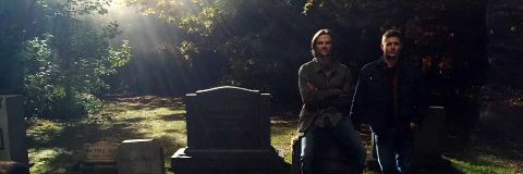 acklesplease's profile banner image