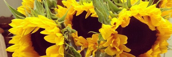 catherineIan Profile Banner