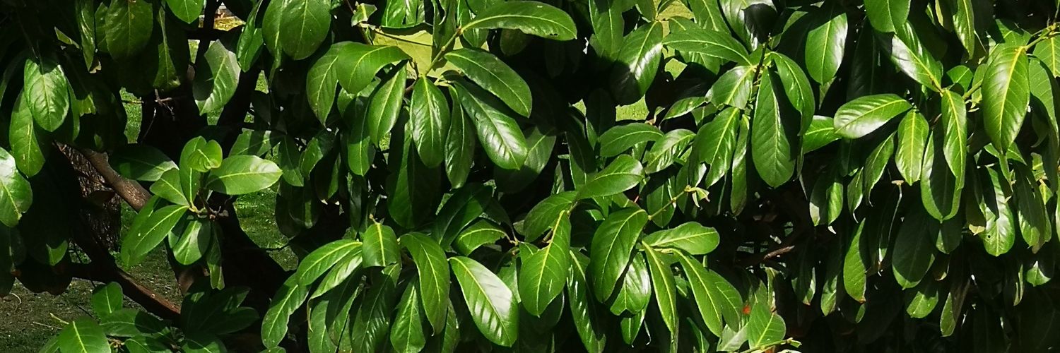 mitner's profile banner image