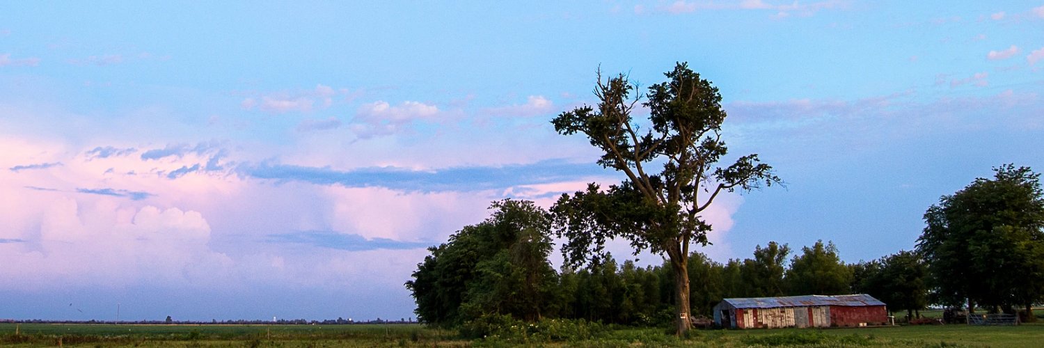 frunkis's profile banner image