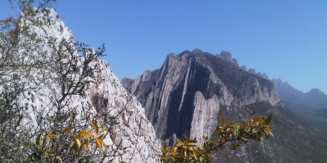 Raul Colmenares banner