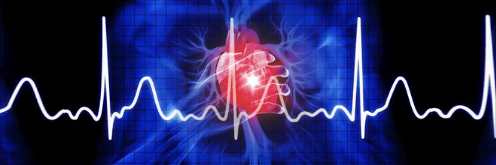 Signal Advance(SIGL) banner